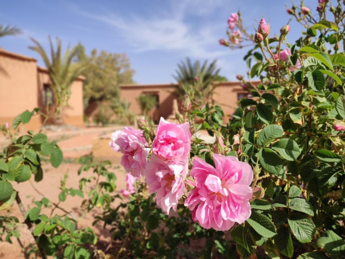 Hotel Maison D'Hotes Tigminou - Adults Only Ait Benhaddou Exteriér fotografie